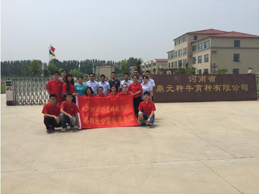 ms88明升