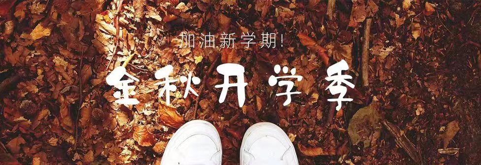 ms88明升